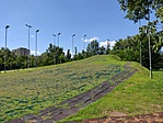 sípálya