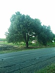 IMG_20210804_184838