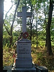 IMG_20210803_174958