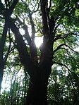 IMG_20210803_173401