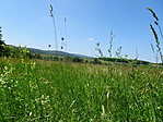 DSC04935