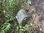 20210802_095600692_iOS