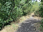 20210802_095610175_iOS