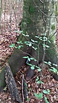 IMG_20210829_141810