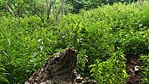 IMG_20210828_090842