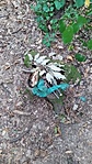 IMG_20210822_185901