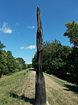 Anjouk kora