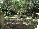 IMG_20210812_134136