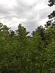 GCVVKK_20210805_072704