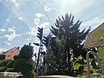 IMG_20210808_134033