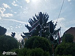IMG_20210808_134041
