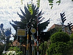 IMG_20210808_134542
