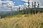 IMG_8556_2