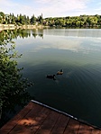IMG_20210818_085801