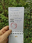 IMG_20210829_114810