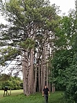 IMG_20210829_141556