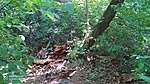 IMG_20210812_121917