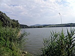 P8153131