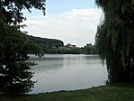 P8153149