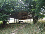 P8153150
