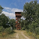 IMG_20210813_113445