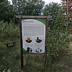 IMG_20210813_113503