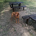 IMG_20210813_113600