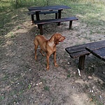 IMG_20210813_113602