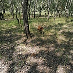 IMG_20210813_113945