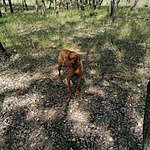 IMG_20210813_113948