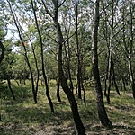 IMG_20210813_113958