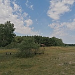 IMG_20210813_120349