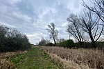 IMG_8701