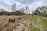 IMG_8702