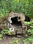 IMG_8834