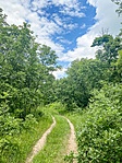 IMG_8833