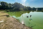 IMG_9263