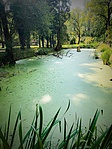 IMG_9265