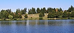 2021-07-31 17.19.05