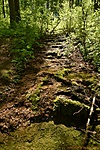 HER_5962_tn