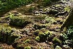 HER_5956_tn