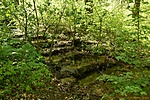 HER_5922_tn