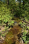 HER_5933_tn