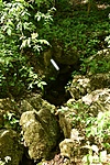 HER_5931_tn
