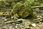 HER_5986_tn