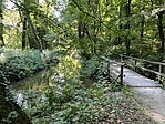 IMG_4249