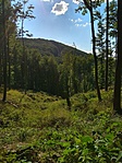 IMG_20210904_160357