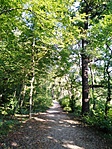 IMG_20210905_083602