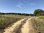 IMG_2955