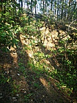 IMG_20210814_172829